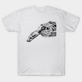 Boa constrictor T-Shirt